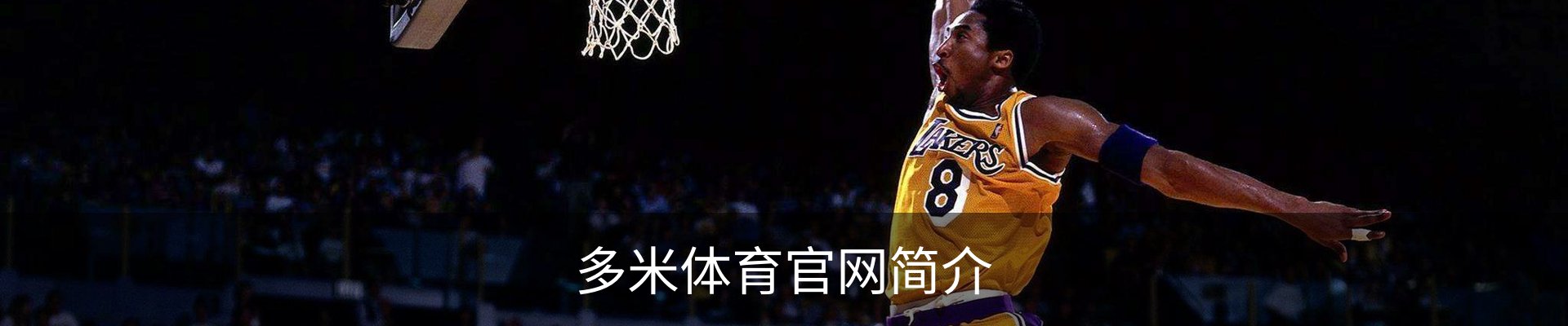 多米体育官网简介